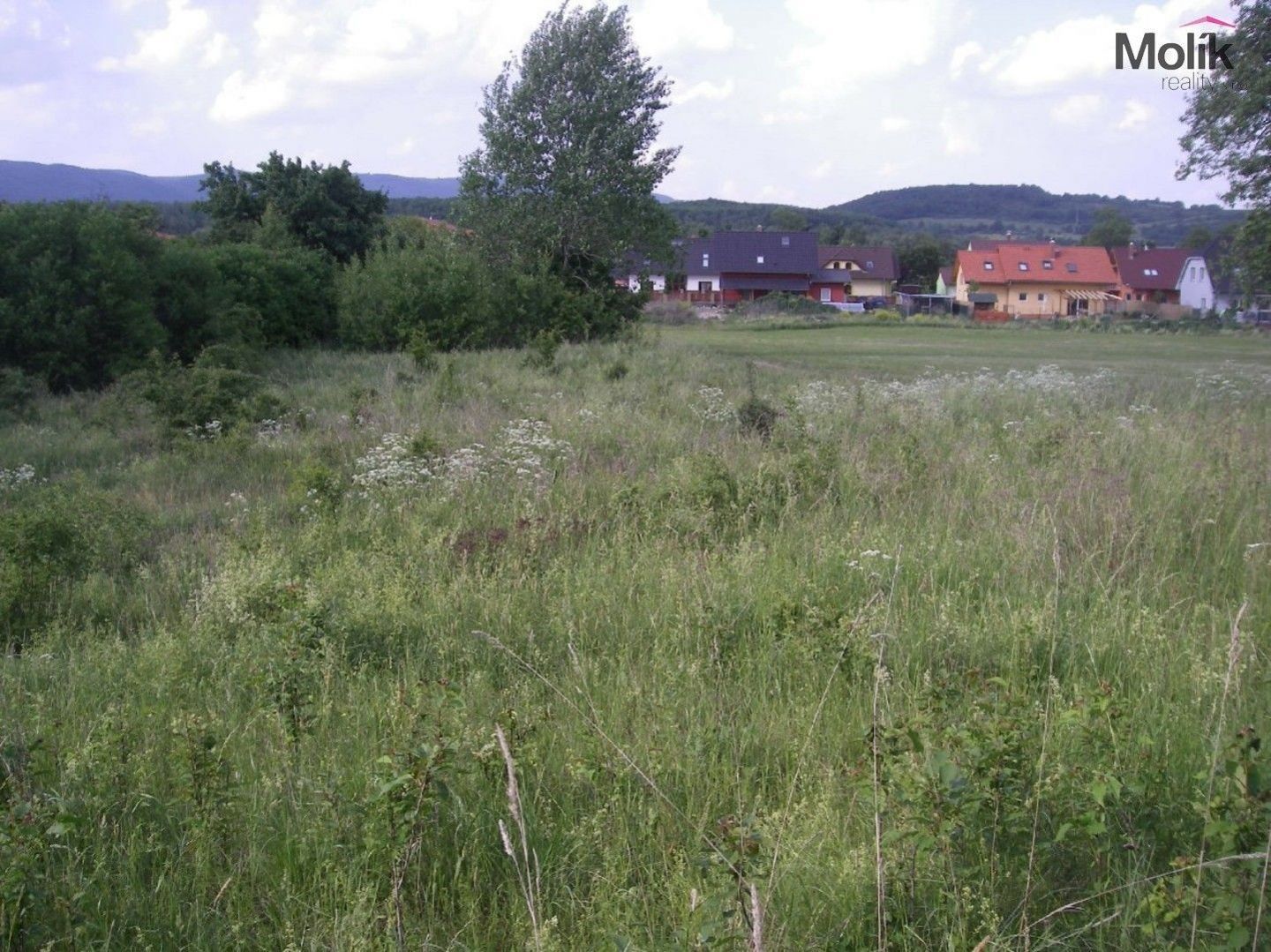 Prodej pozemek pro bydlení - Marie Kršňákové, Chabařovice, 4 169 m²
