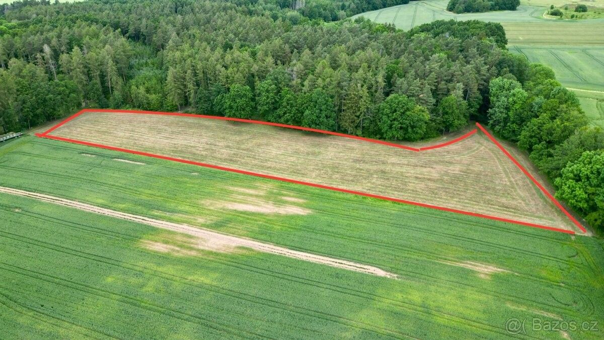 Zemědělské pozemky, Slatiňany, 538 21, 12 230 m²