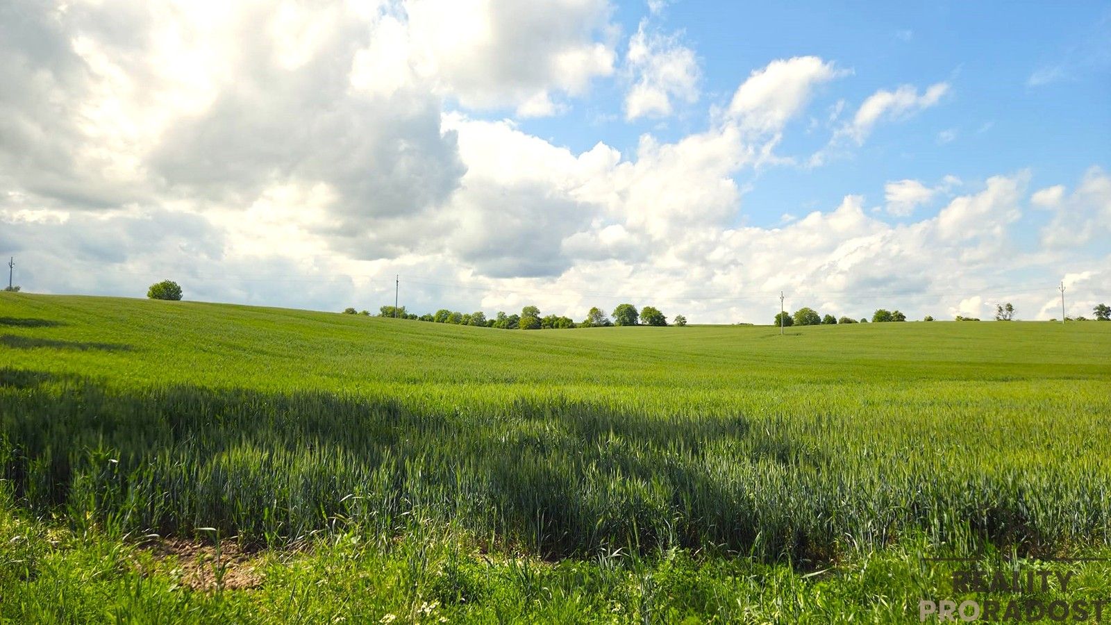 Zemědělské pozemky, Kyjov, 2 649 m²