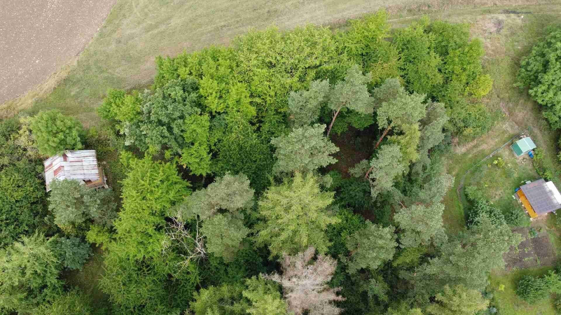 Ostatní, Skuteč, 864 m²