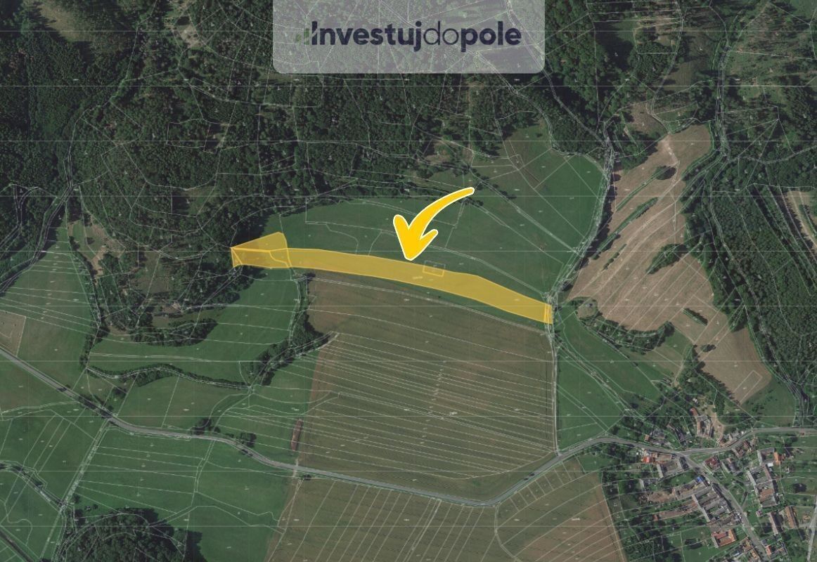 Prodej zemědělský pozemek - Vranová Lhota, 21 742 m²