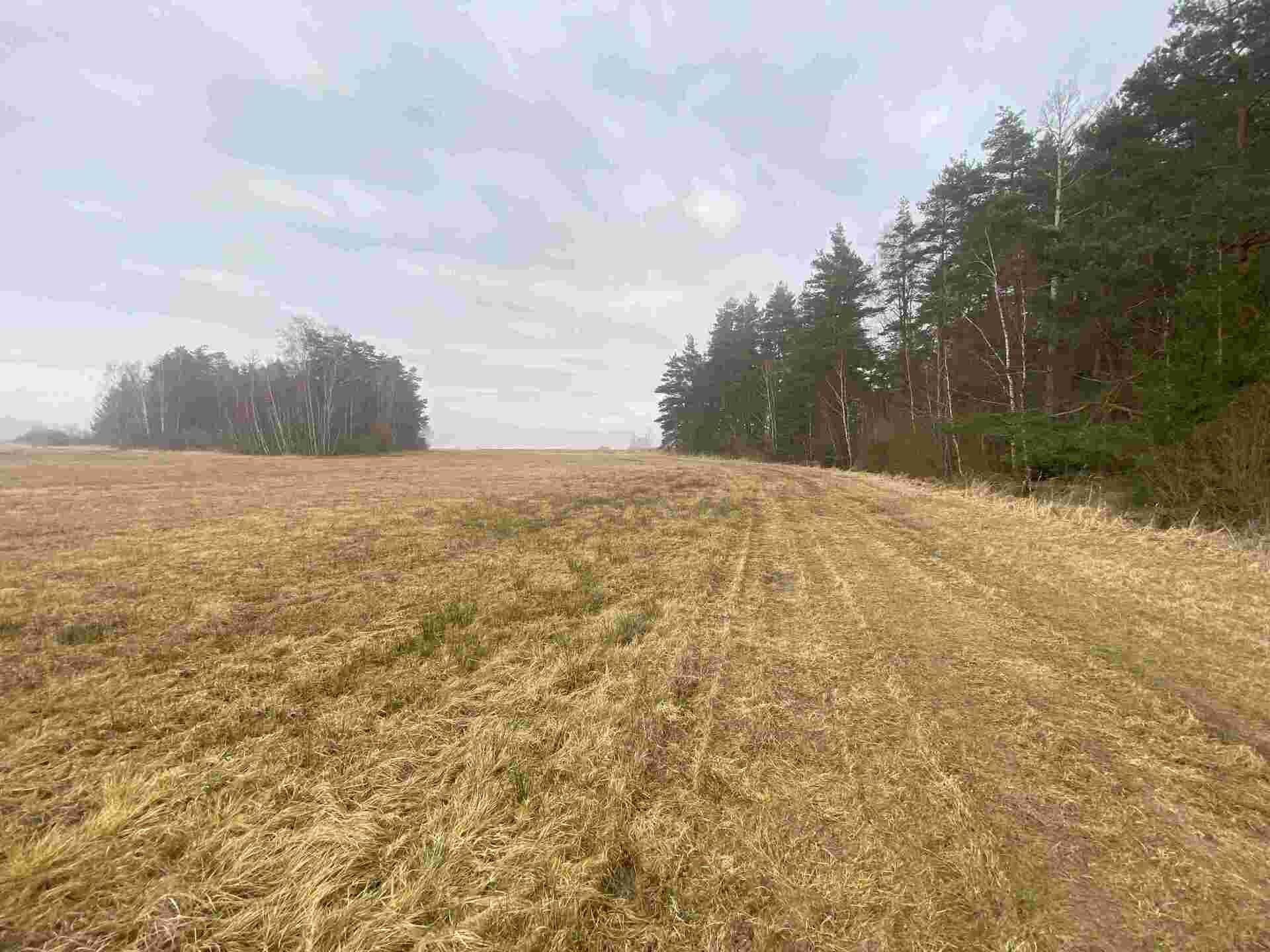 Zemědělské pozemky, Hrutkov, Hospříz, 7 435 m²