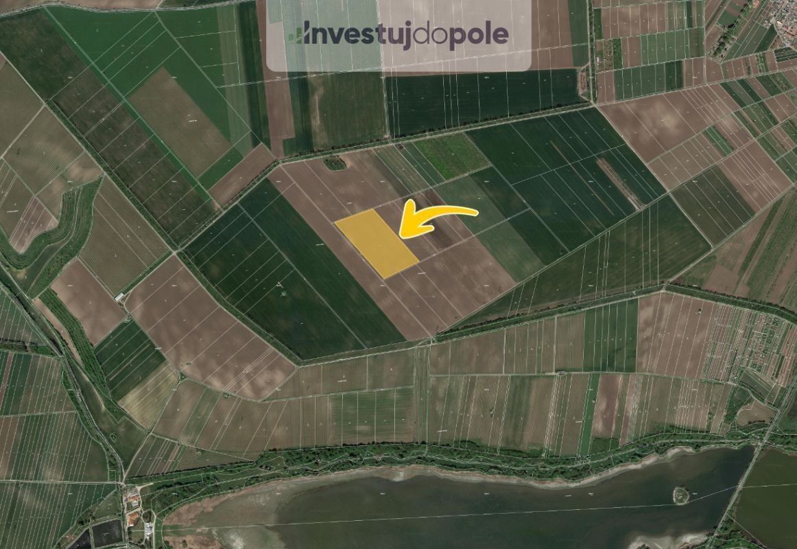 Prodej zemědělský pozemek - Lednice, 2 954 m²