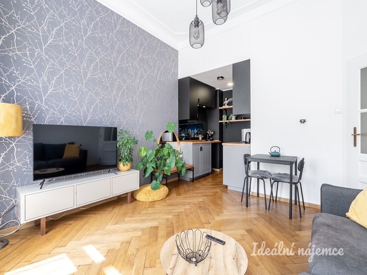 2+kk, Truhlářská, Praha, 33 m²
