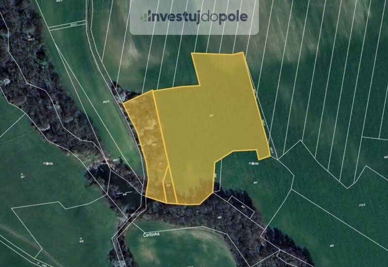 Zemědělské pozemky, Podhořany u Ronova nad Doubravou, 538 41, 19 849 m²