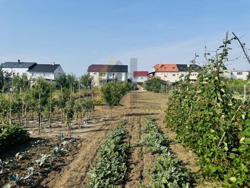 Zahrady, Lužice u Hodonína, 696 18, 2 053 m²