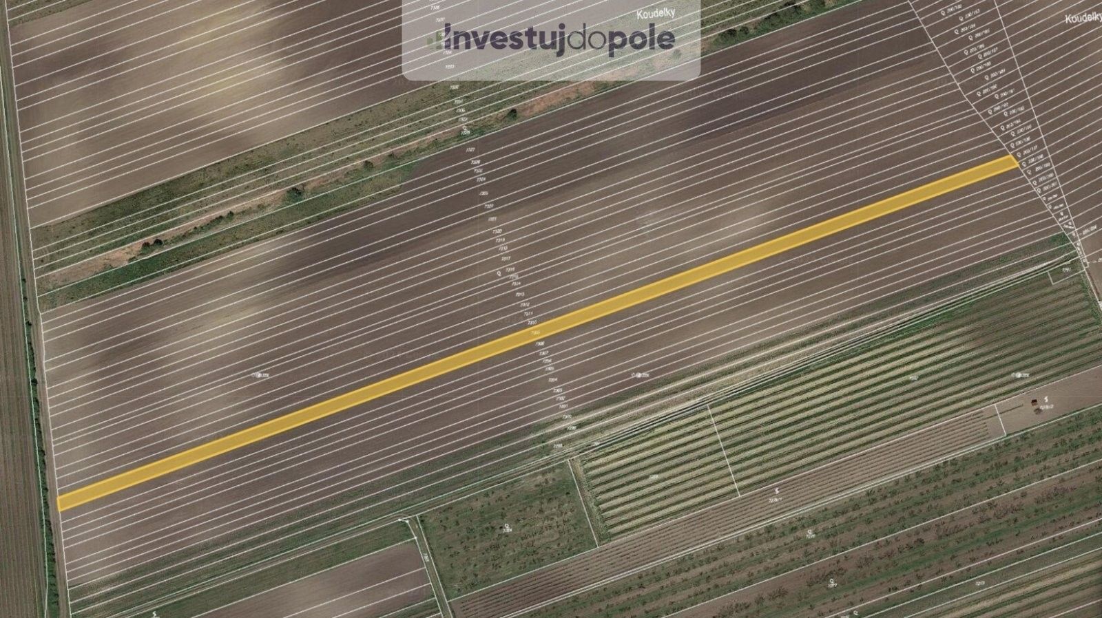 Zemědělské pozemky, Velké Pavlovice, 3 452 m²