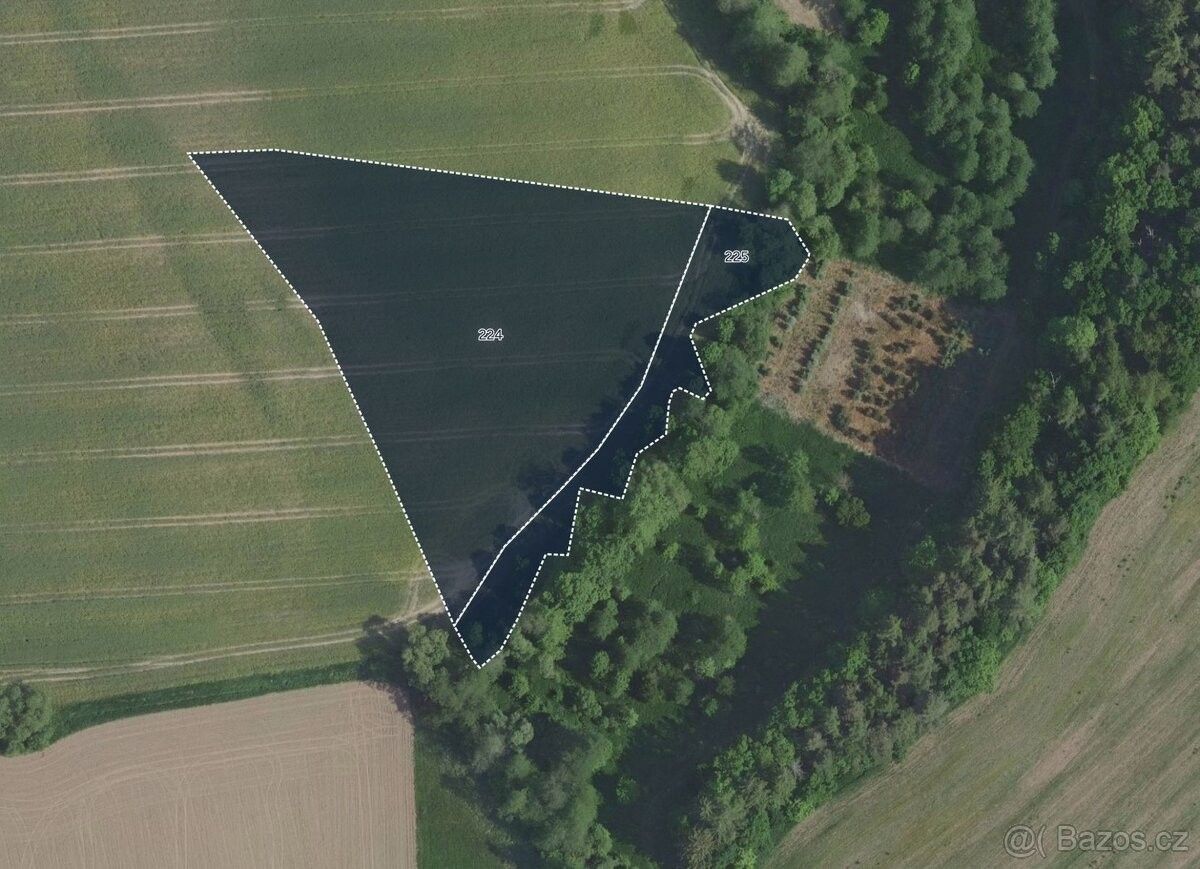 Zemědělské pozemky, Kostelec nad Černými Lesy, 281 63