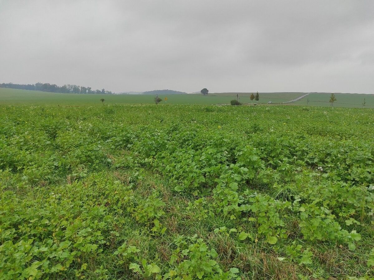 Prodej pozemek pro bydlení - Slavětín u Litovle, 783 24, 1 628 m²