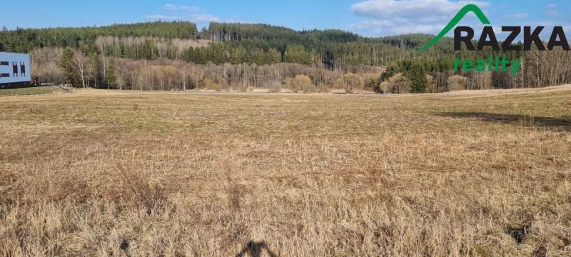Zemědělské pozemky, Tachov, 347 01, 141 968 m²