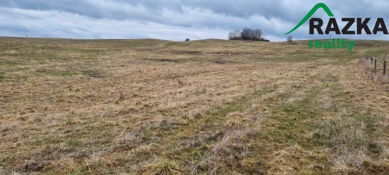 Zemědělské pozemky, Tachov, 347 01, 387 228 m²