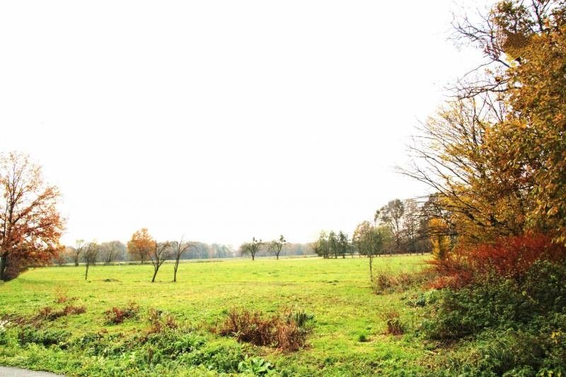 Prodej pozemek pro bydlení - Mankovice, 2 000 m²