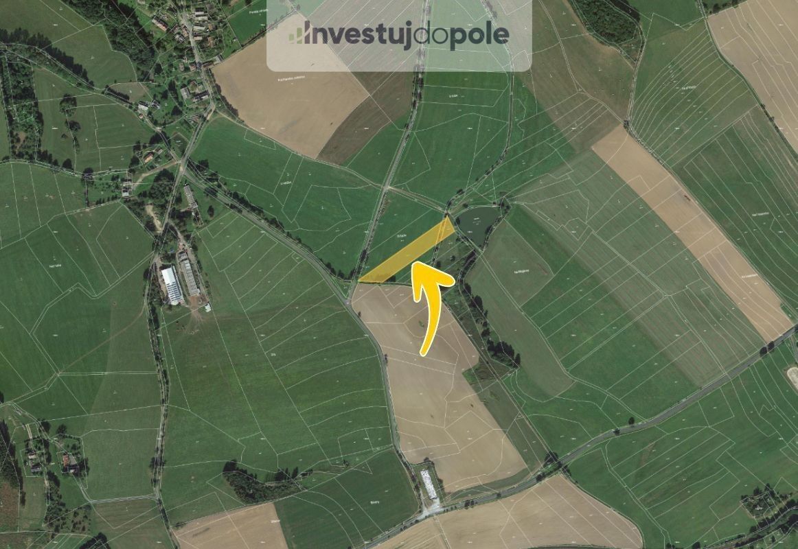 Prodej zemědělský pozemek - Běhařov, 5 585 m²