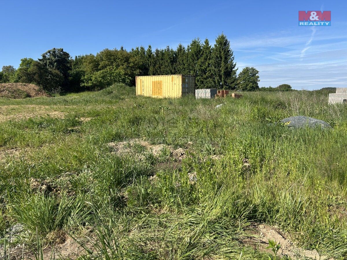 Prodej les - Trhový Štěpánov, 257 63, 1 025 m²