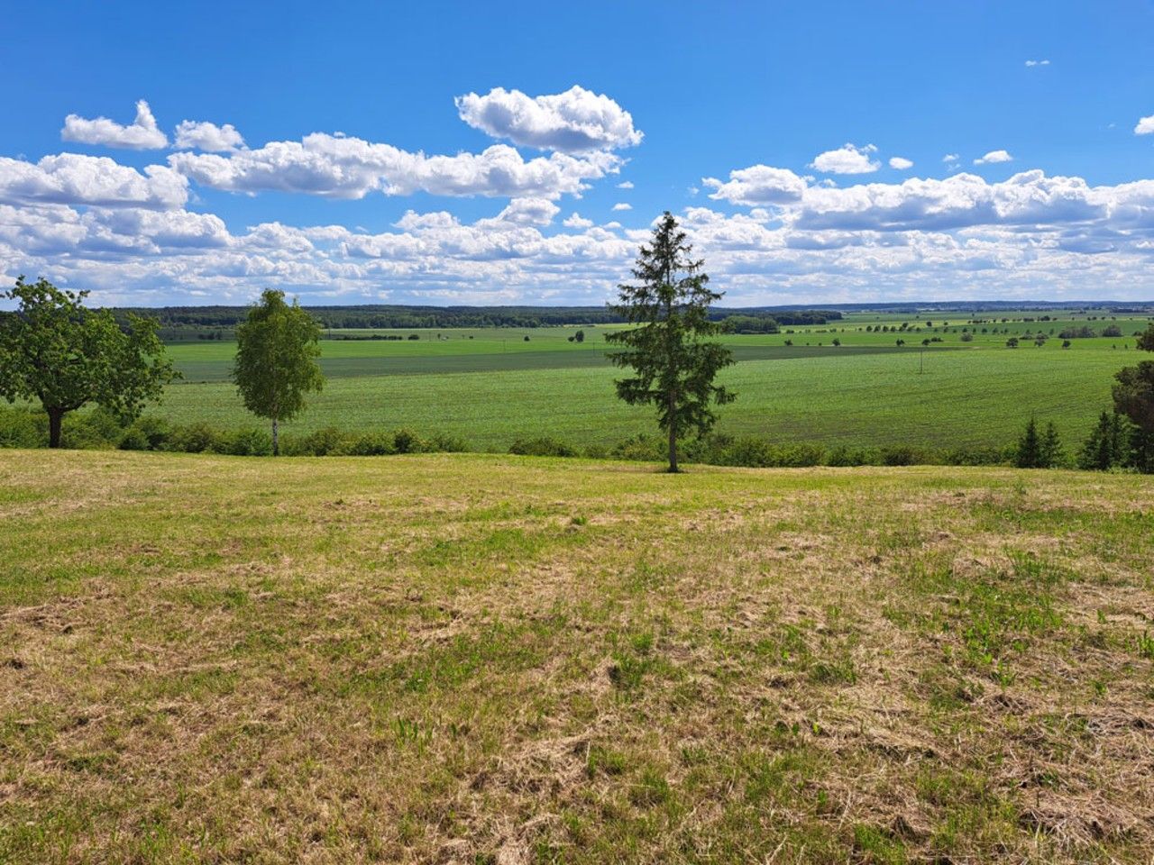 Prodej pozemek pro bydlení - Charvatce,Charvatce, 1 227 m²