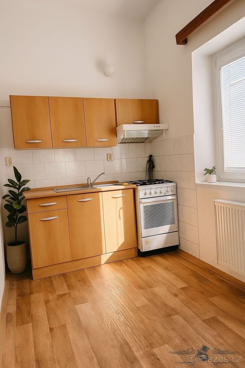 Pronájem byt 1+1 - Skuhrov nad Bělou, 517 03, 56 m²