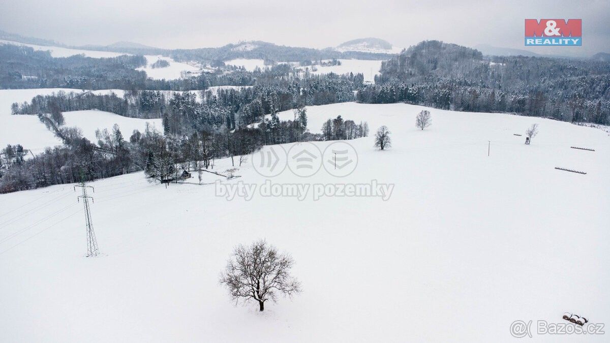 Prodej zemědělský pozemek - Děčín, 405 02, 126 193 m²