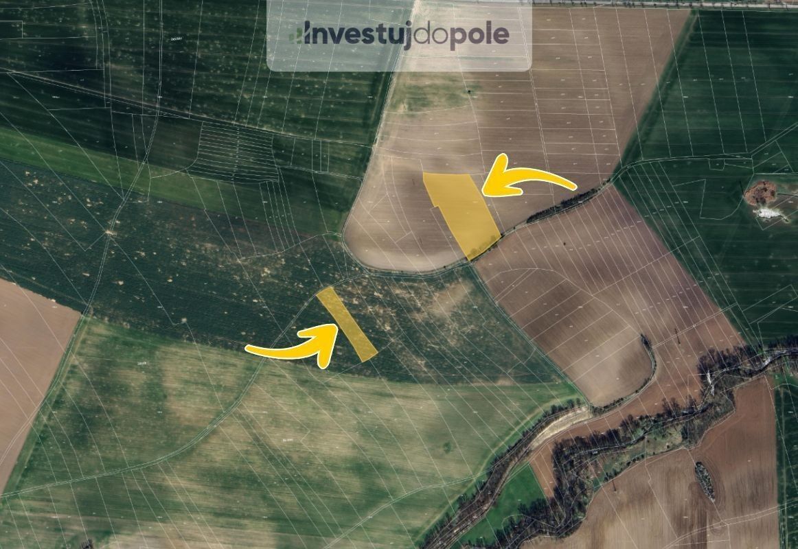 Prodej zemědělský pozemek - Zaječice, 2 412 m²