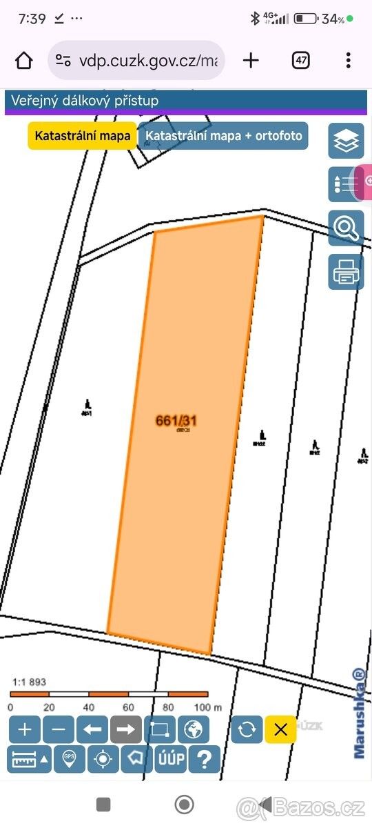 Prodej les - Přelouč, 535 01, 11 097 m²