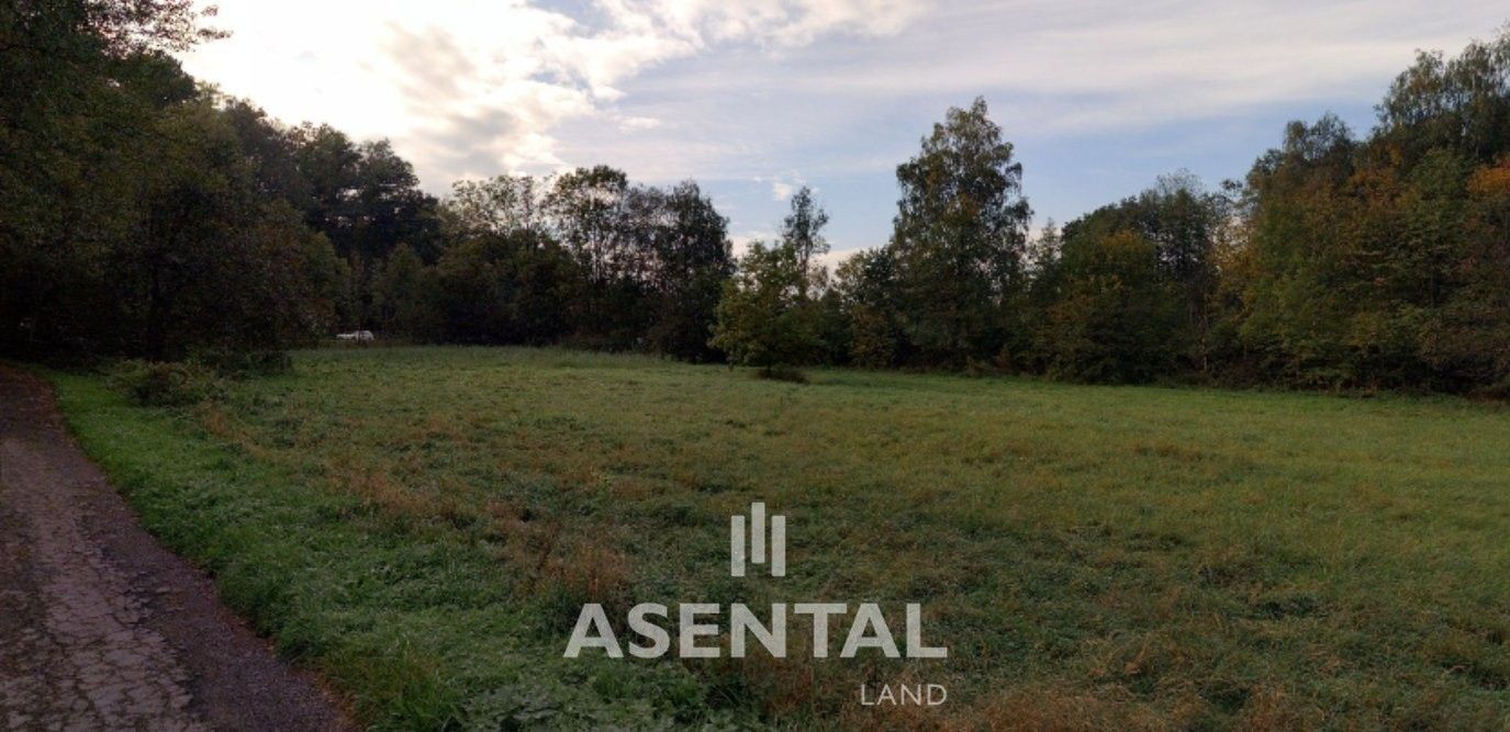 Ostatní, Těšínská, Orlová, 4 096 m²