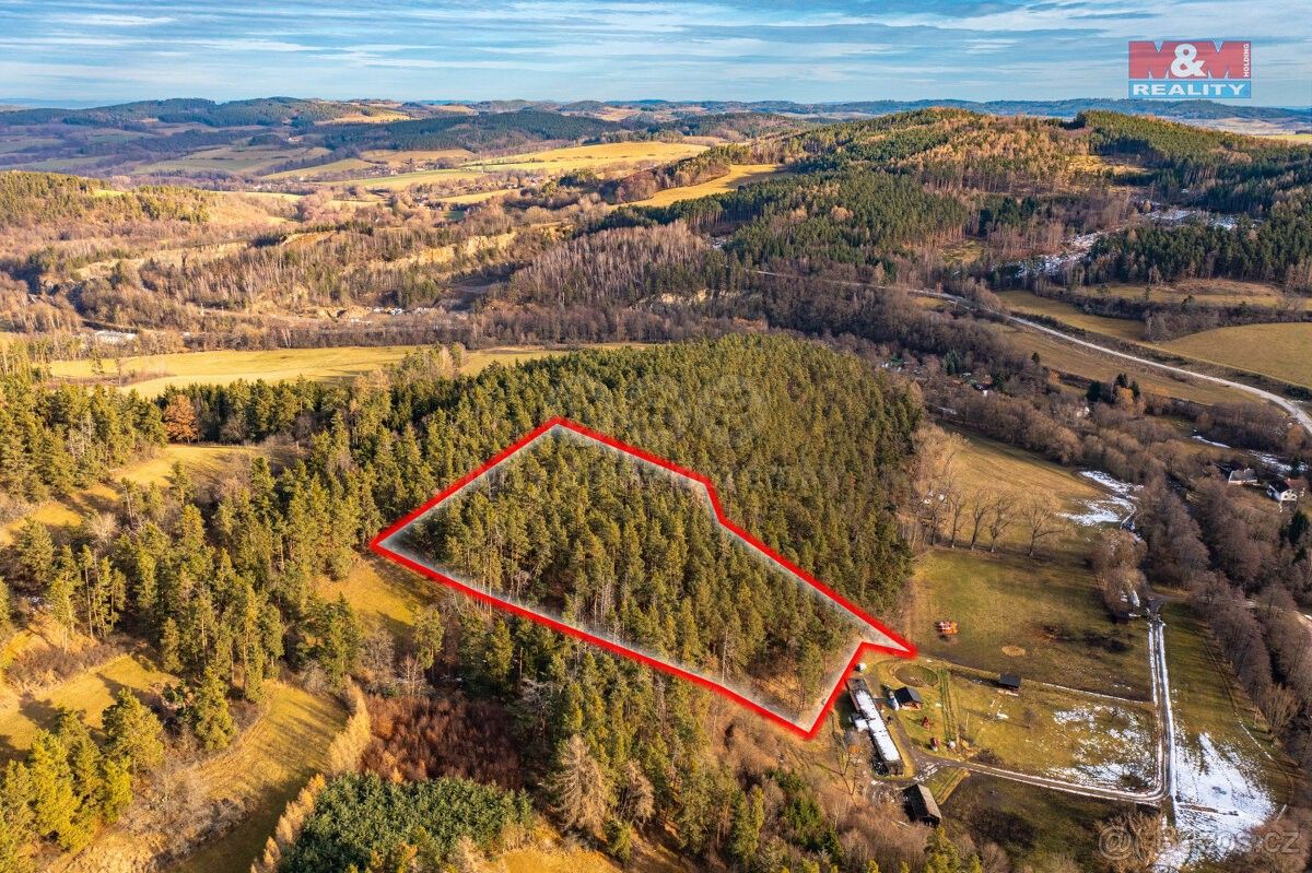 Prodej les - Volyně, 387 01, 13 448 m²