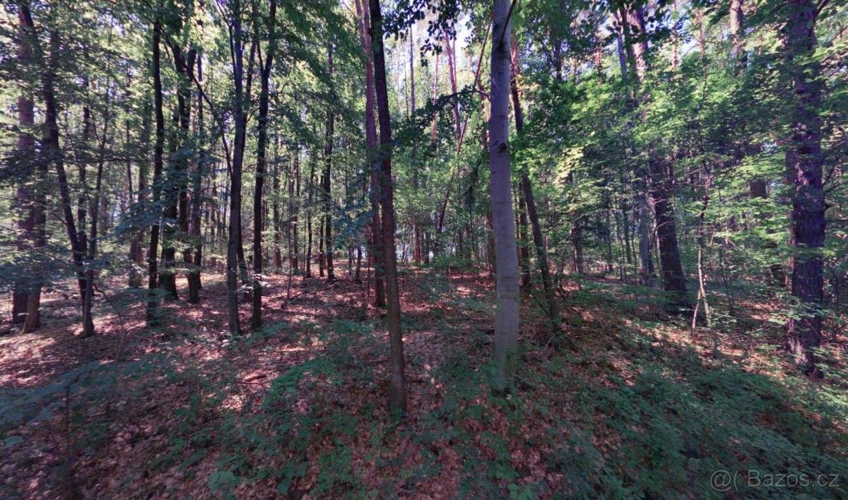 Lesy, Luhačovice, 763 26, 14 782 m²