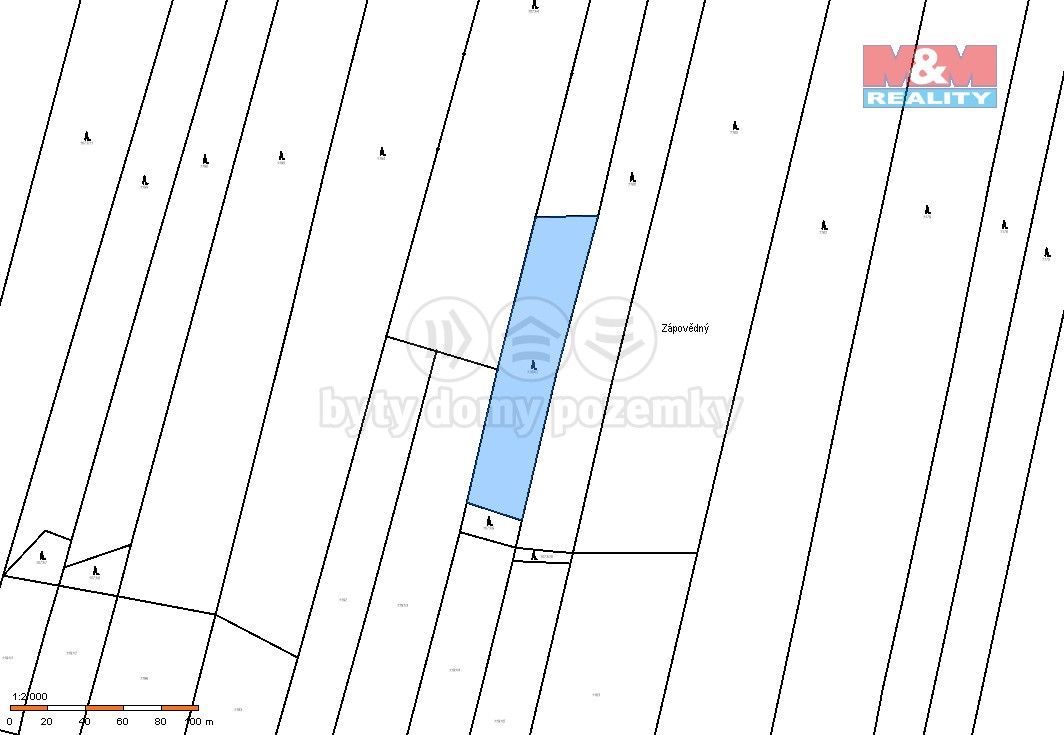 Prodej les - Jetětice, 398 48, 4 993 m²