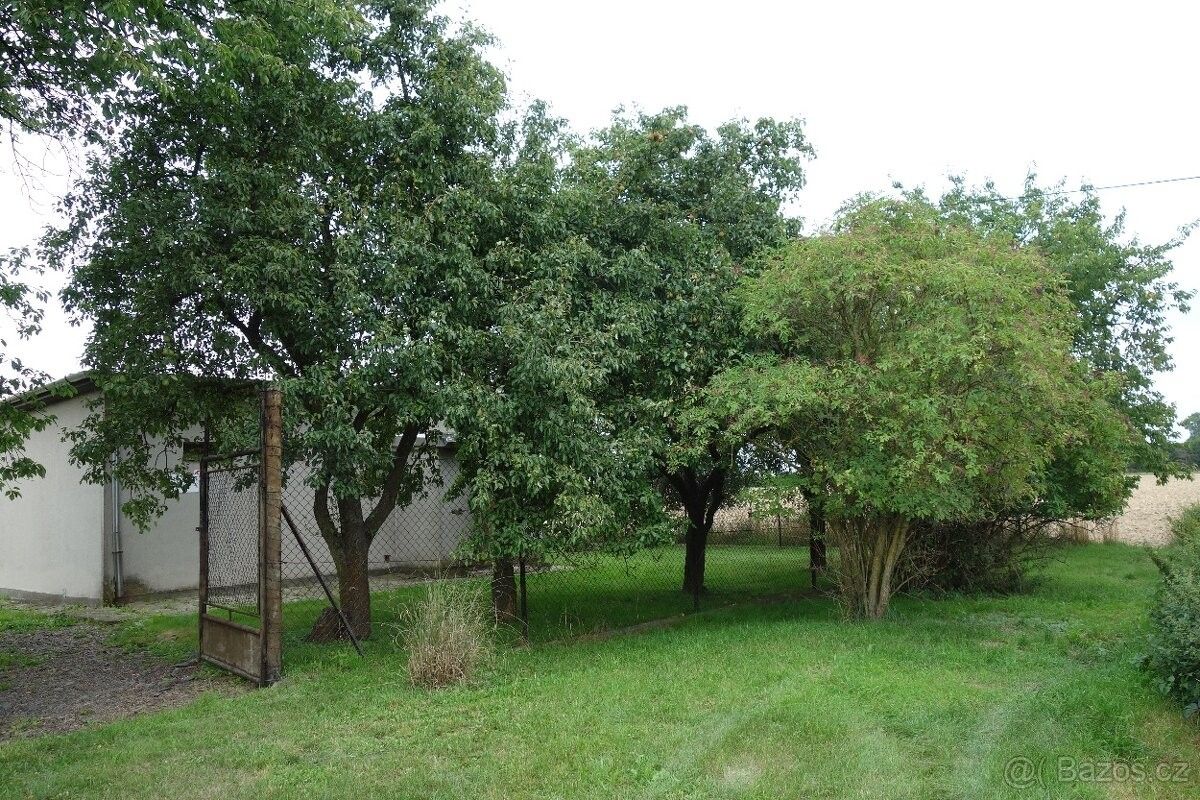 Zahrady, Odry, 742 35, 52 m²