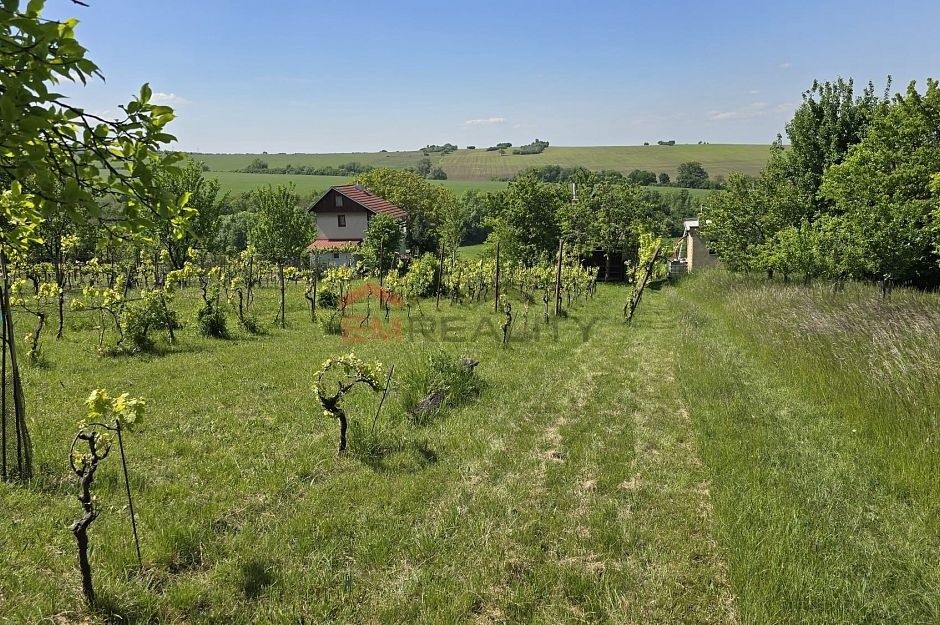 Ostatní, Strážnice, 696 62, 1 891 m²
