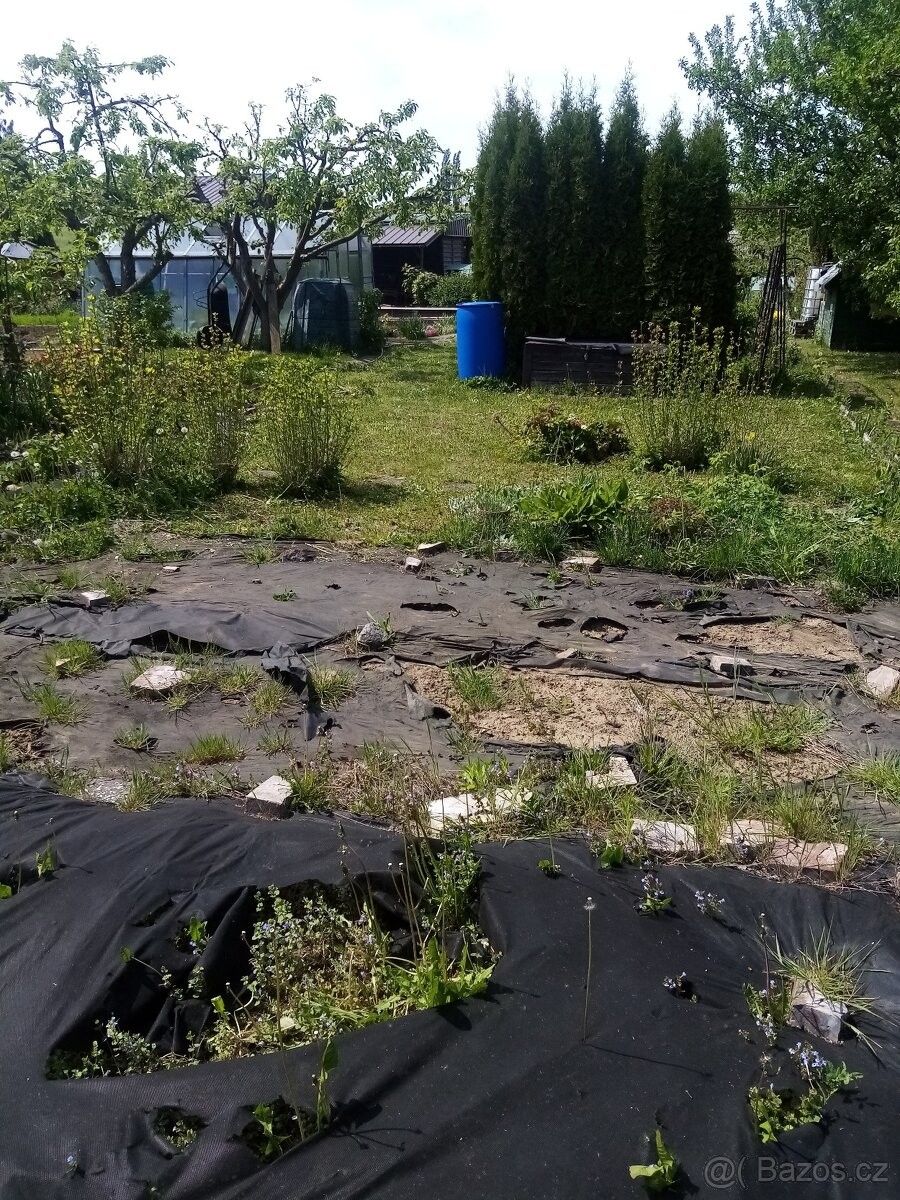 Zahrady, Nový Jičín, 741 01, 187 m²