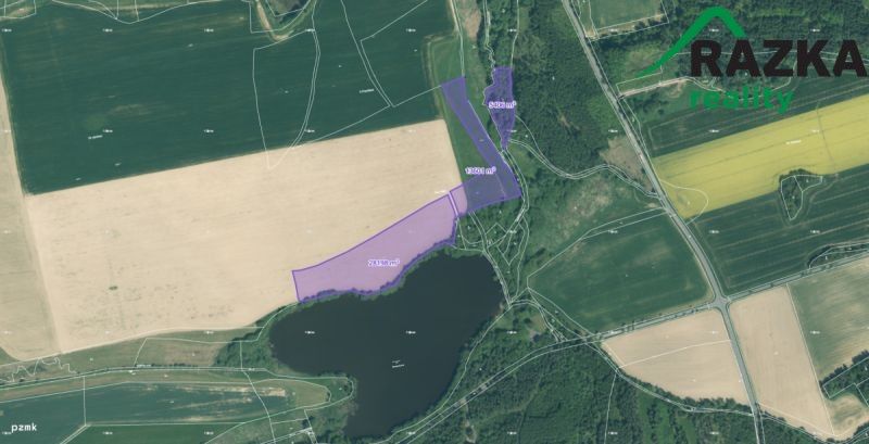 Prodej zemědělský pozemek - Tachov, 347 01, 47 205 m²
