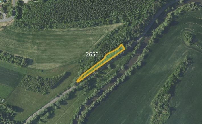 Prodej zemědělský pozemek - Zruč nad Sázavou, 285 22, 7 254 m²