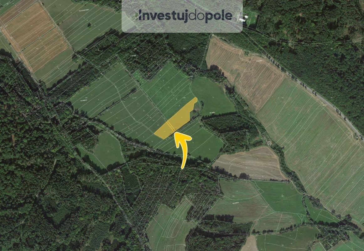 Prodej louka - Chlumská, Ježovy, 9 260 m²
