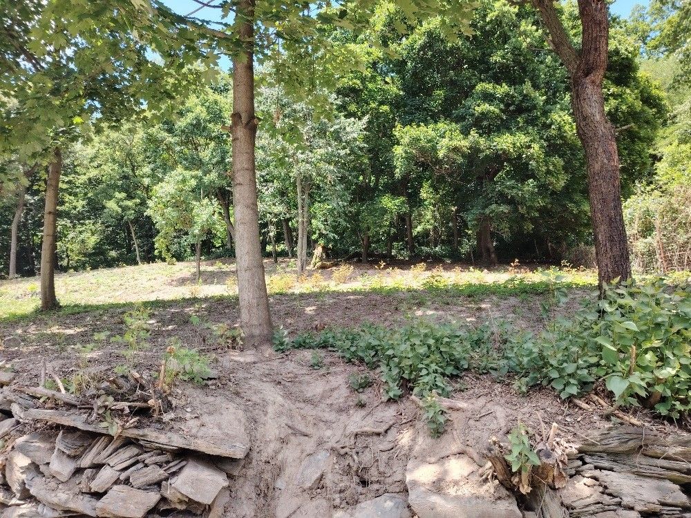Prodej pozemek - Veselíčko u Lipníka nad Bečvou, 751 25, 2 495 m²