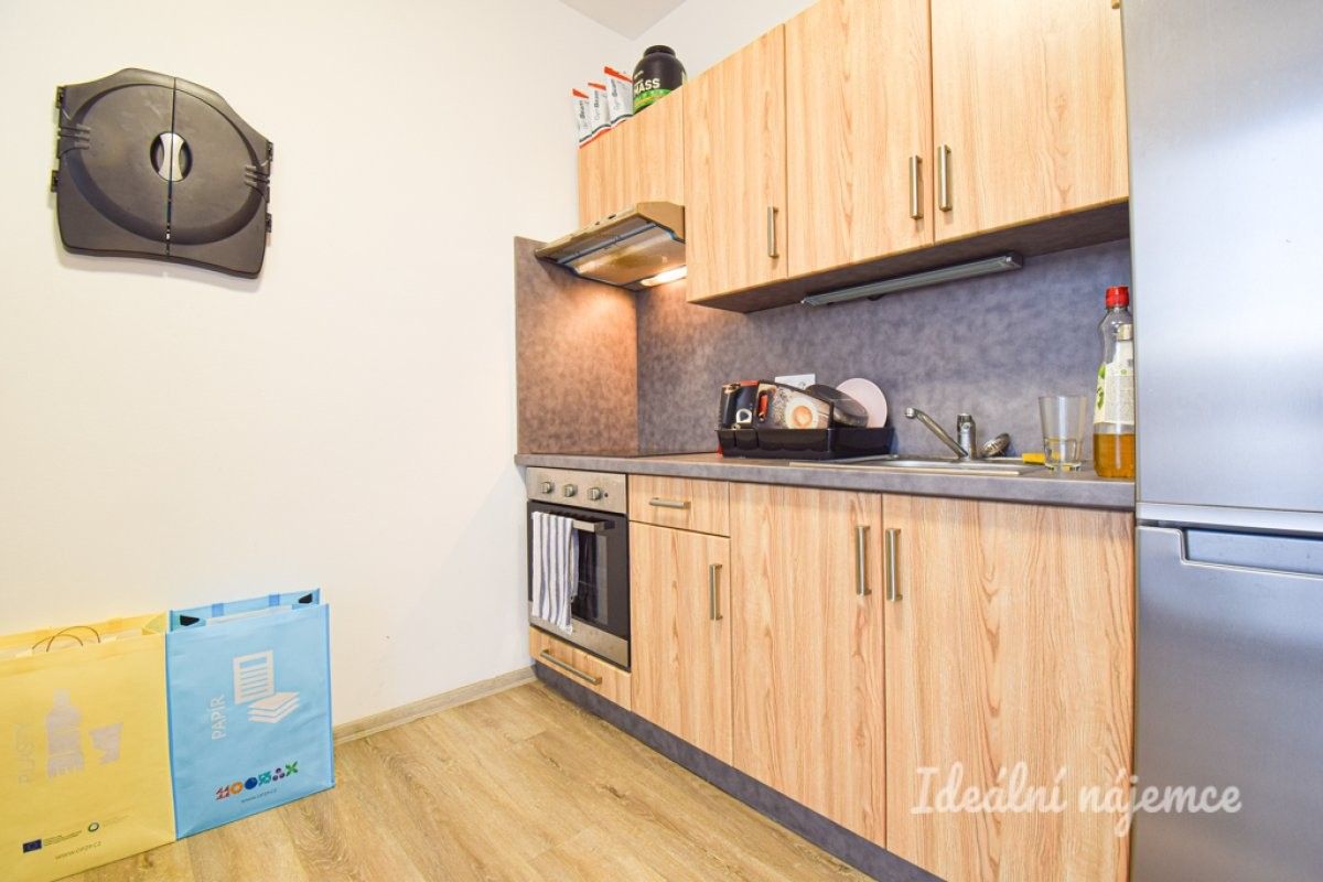 Pronájem byt 1+kk - Svitavská, Brno, 29 m²