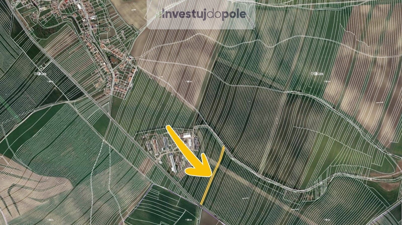 Prodej zemědělský pozemek - Borkovany, 3 757 m²