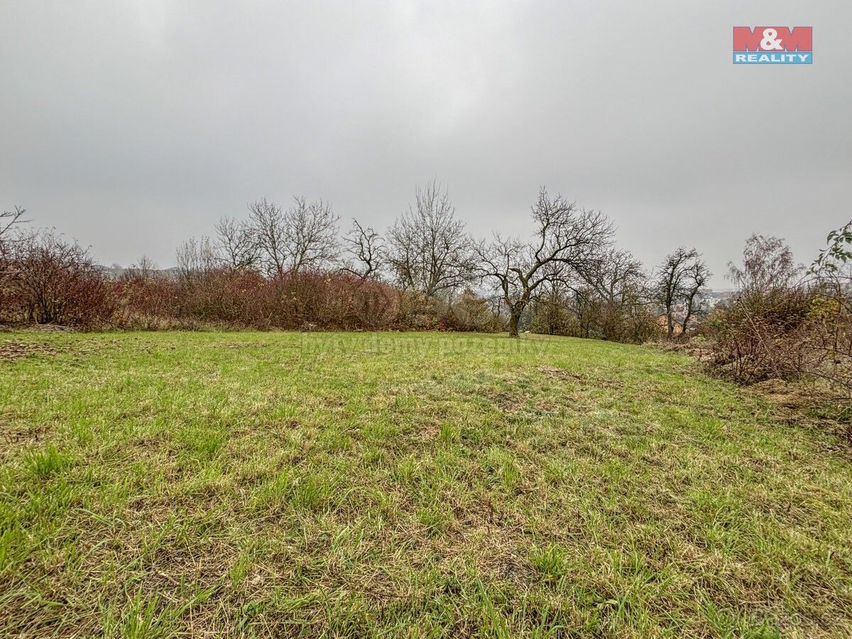 Prodej zemědělský pozemek - Třebenice, 411 13, 468 m²