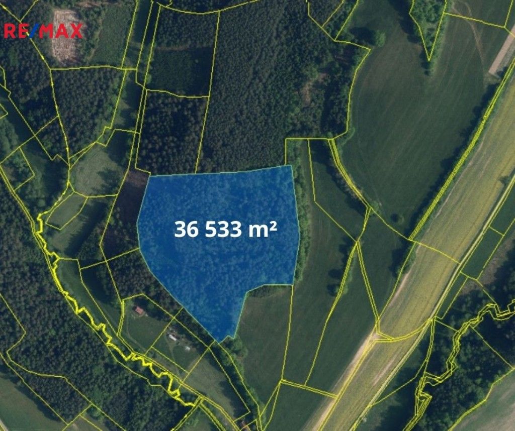 Lesy, Bílá, 66 688 m²