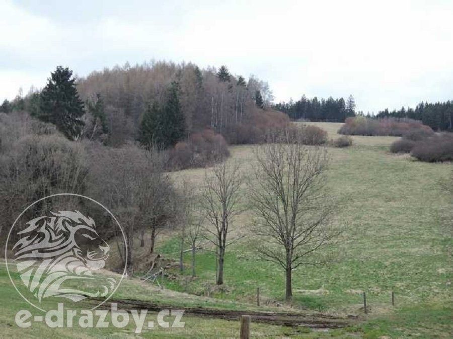 Ostatní, Dlouhá Ves, 2 751 m²