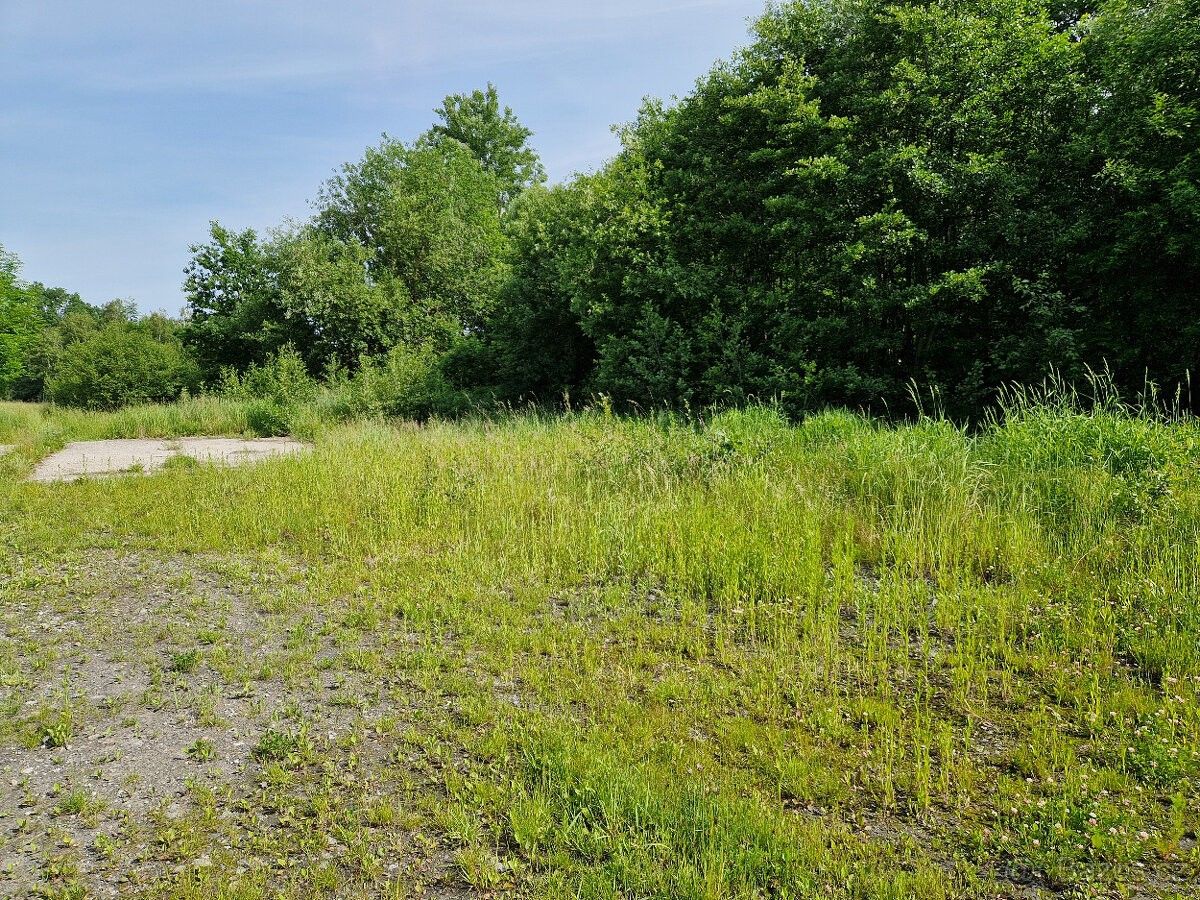 Prodej pozemek pro bydlení - Seč, 538 05, 730 m²