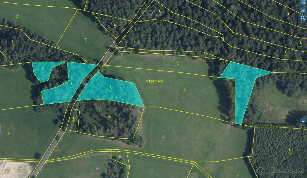Prodej les - Proseč u Skutče, 539 44, 7 493 m²