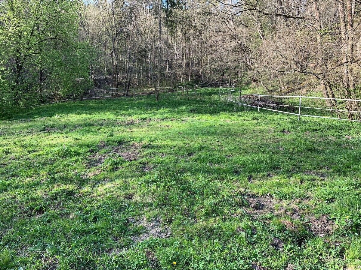 Prodej les - Unhošť, 273 51, 3 723 m²
