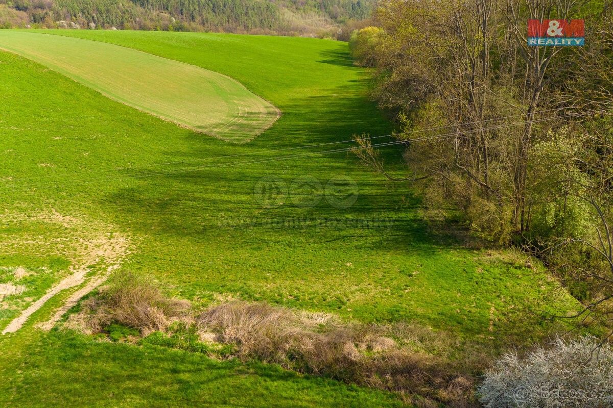 Zemědělské pozemky, Chudobín, 783 21, 4 100 m²