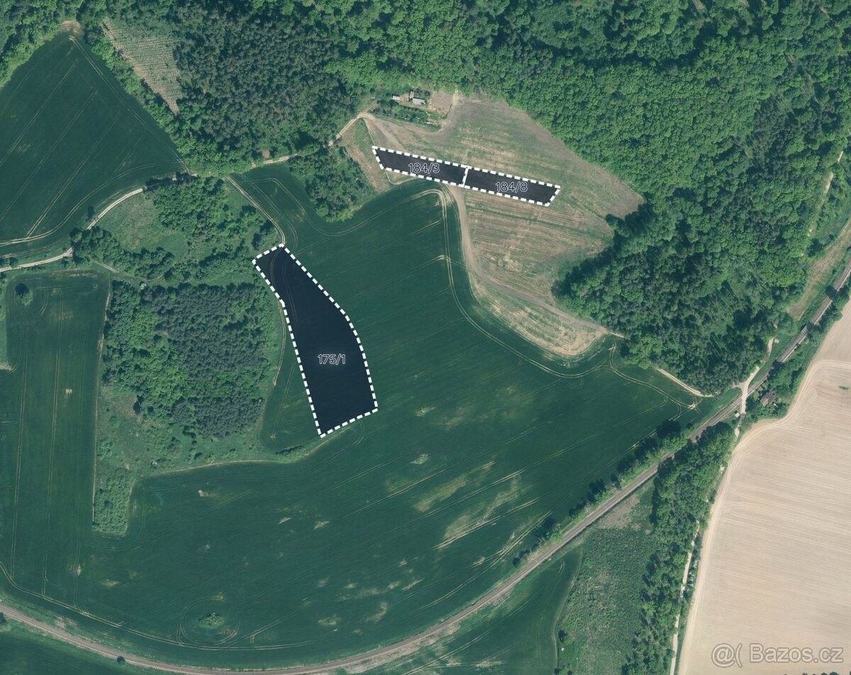 Prodej zemědělský pozemek - Písek, 397 01, 49 808 m²