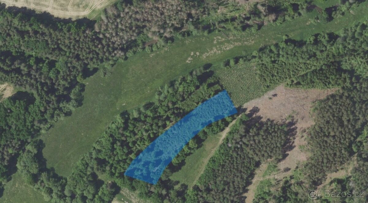 Prodej les - Benešov u Prahy, 256 01, 5 363 m²