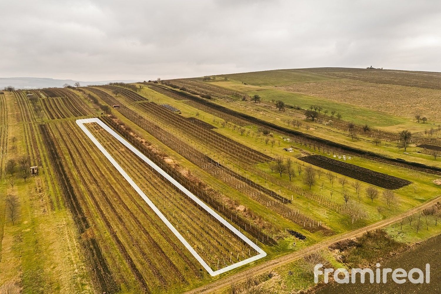 Zemědělské pozemky, Blatnice pod Svatým Antonínkem, 3 587 m²