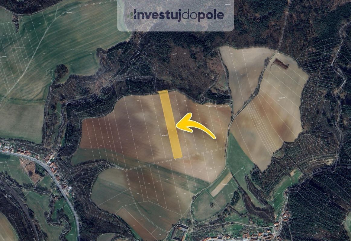 Prodej zemědělský pozemek - Slatinka, Letovice, 10 240 m²