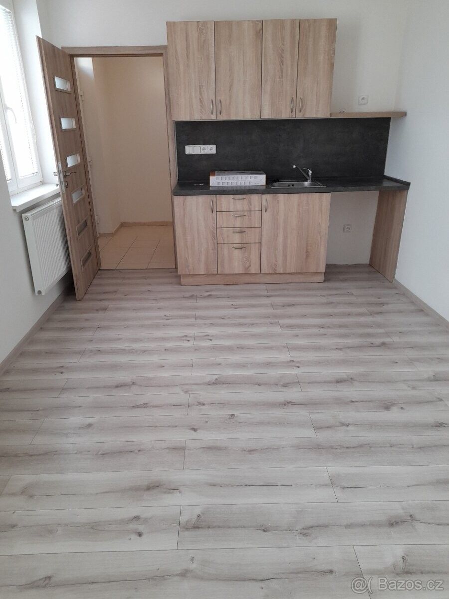 1+kk, Prostějov, 796 01, 21 m²