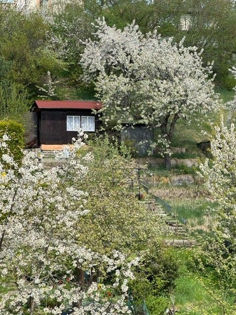 Zahrady, Český Krumlov, 381 01, 205 m²