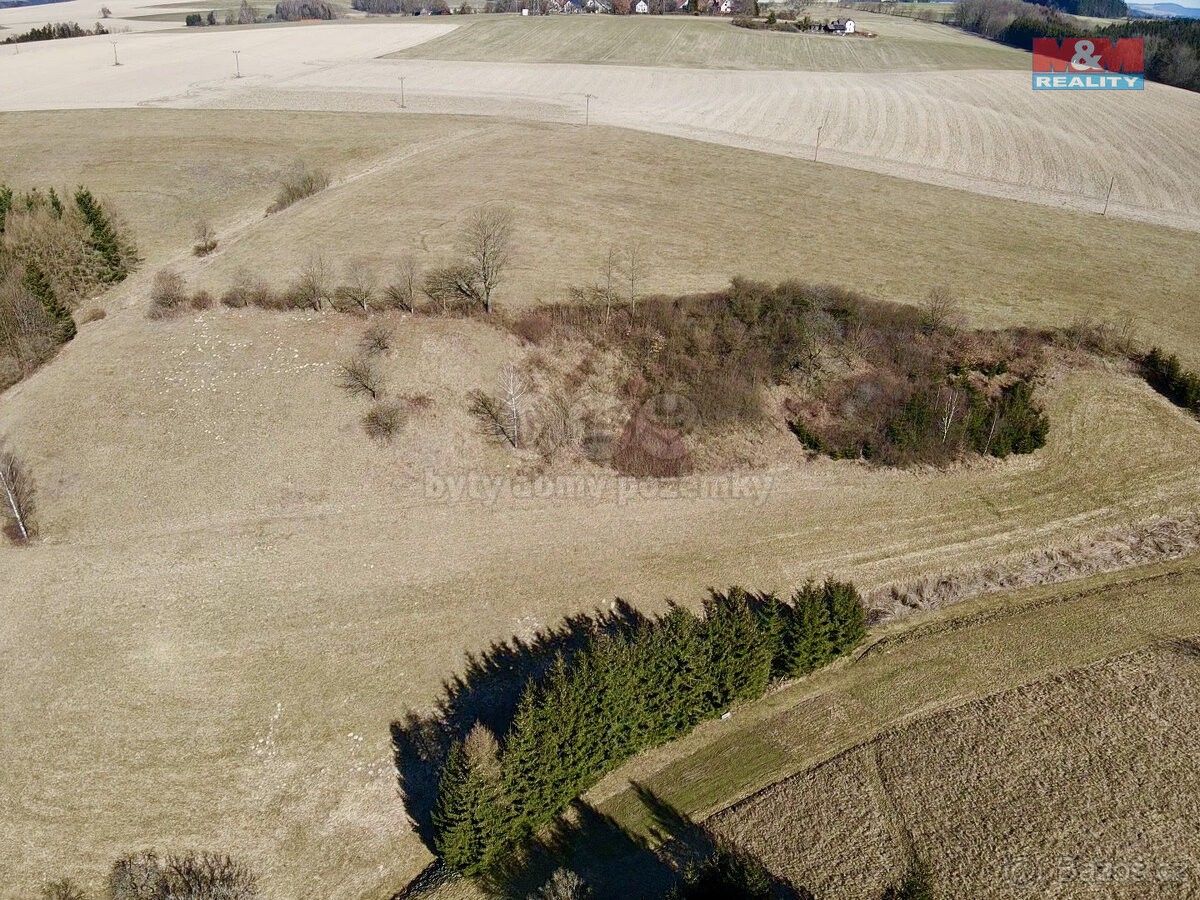 Louky, Rybná nad Zdobnicí, 517 55, 15 081 m²